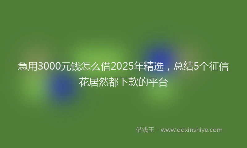 急用3000元钱怎么借2025年精选，总结5个征信花居然都下款的平台