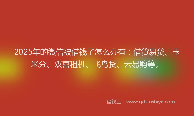 2025年的微信被借钱了怎么办有：借贷易贷、玉米分、双喜租机、飞鸟贷、云易购等。