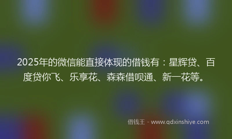 2025年的微信能直接体现的借钱有：星辉贷、百度贷你飞、乐享花、森森借呗通、新一花等。