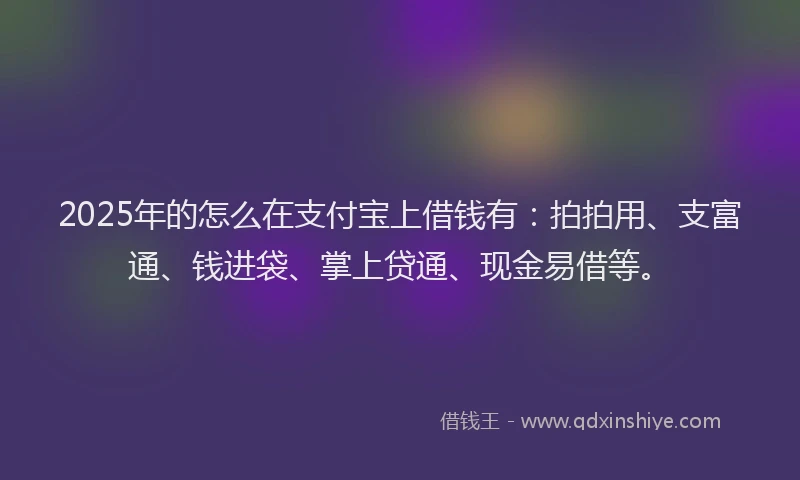 2025年的怎么在支付宝上借钱有：拍拍用、支富通、钱进袋、掌上贷通、现金易借等。