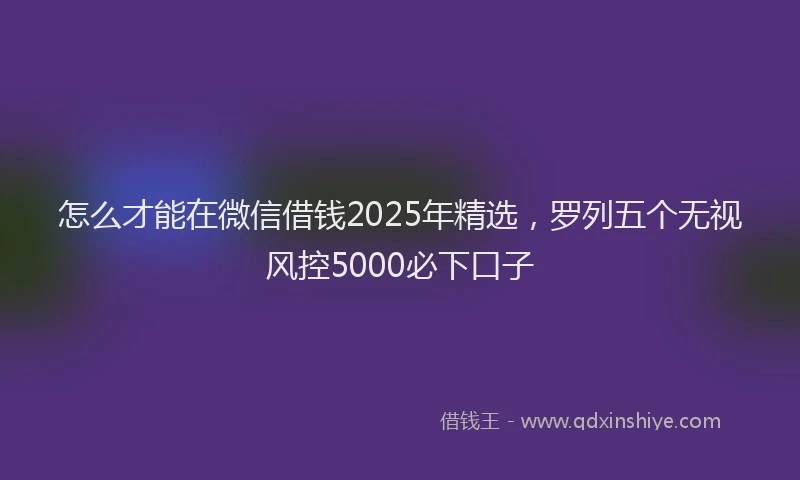 怎么才能在微信借钱2025年精选，罗列五个无视风控5000必下口子