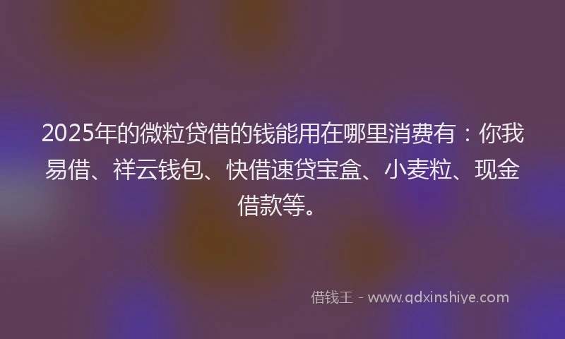 2025年的微粒贷借的钱能用在哪里消费有：你我易借、祥云钱包、快借速贷宝盒、小麦粒、现金借款等。