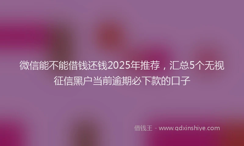 微信能不能借钱还钱2025年推荐，汇总5个无视征信黑户当前逾期必下款的口子
