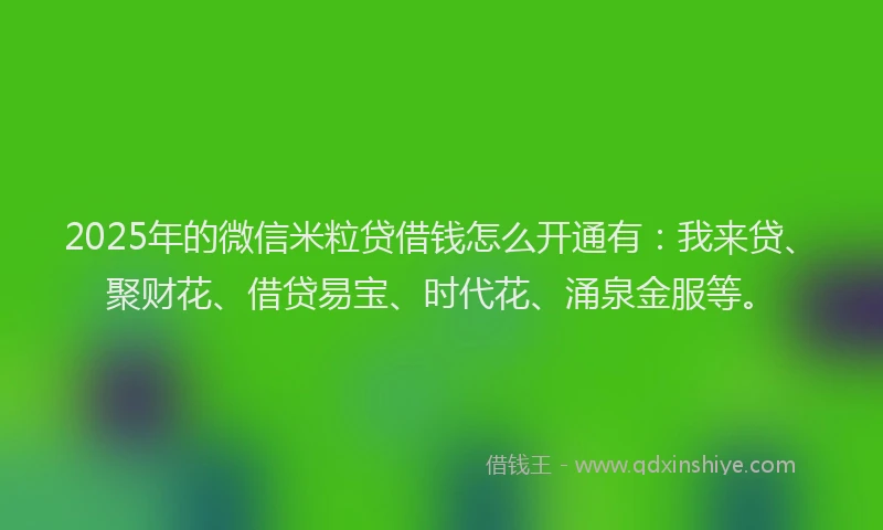 2025年的微信米粒贷借钱怎么开通有：我来贷、聚财花、借贷易宝、时代花、涌泉金服等。
