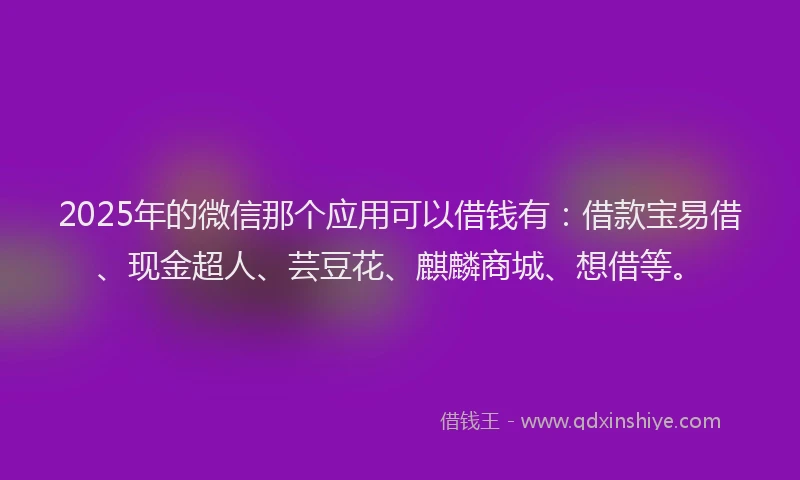 2025年的微信那个应用可以借钱有：借款宝易借、现金超人、芸豆花、麒麟商城、想借等。