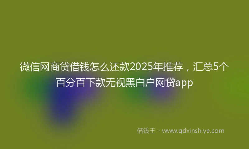 微信网商贷借钱怎么还款2025年推荐，汇总5个百分百下款无视黑白户网贷app