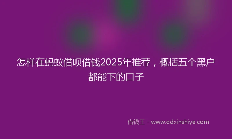 怎样在蚂蚁借呗借钱2025年推荐，概括五个黑户都能下的口子