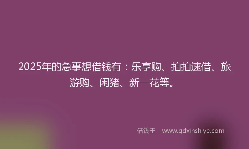 2025年的急事想借钱有：乐享购、拍拍速借、旅游购、闲猪、新一花等。