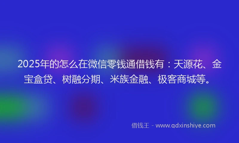 2025年的怎么在微信零钱通借钱有：天源花、金宝盒贷、树融分期、米族金融、极客商城等。
