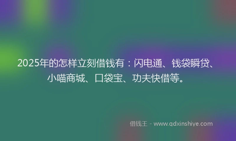 2025年的怎样立刻借钱有：闪电通、钱袋瞬贷、小喵商城、口袋宝、功夫快借等。