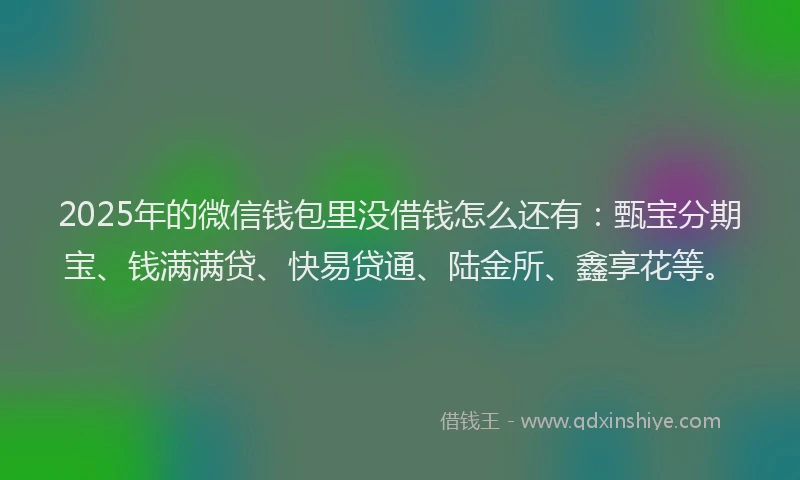 2025年的微信钱包里没借钱怎么还有：甄宝分期宝、钱满满贷、快易贷通、陆金所、鑫享花等。