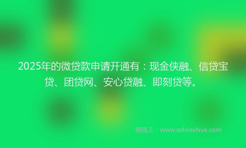 2025年的微贷款申请开通有：现金侠融、信贷宝贷、团贷网、安心贷融、即刻贷等。