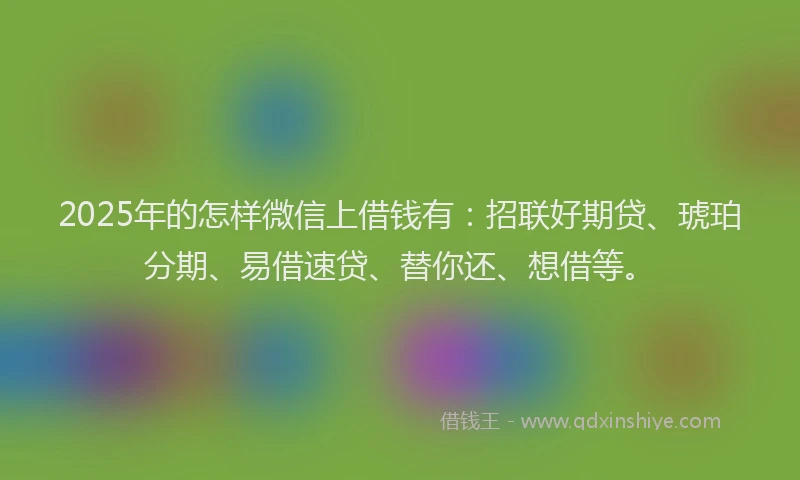 2025年的怎样微信上借钱有：招联好期贷、琥珀分期、易借速贷、替你还、想借等。