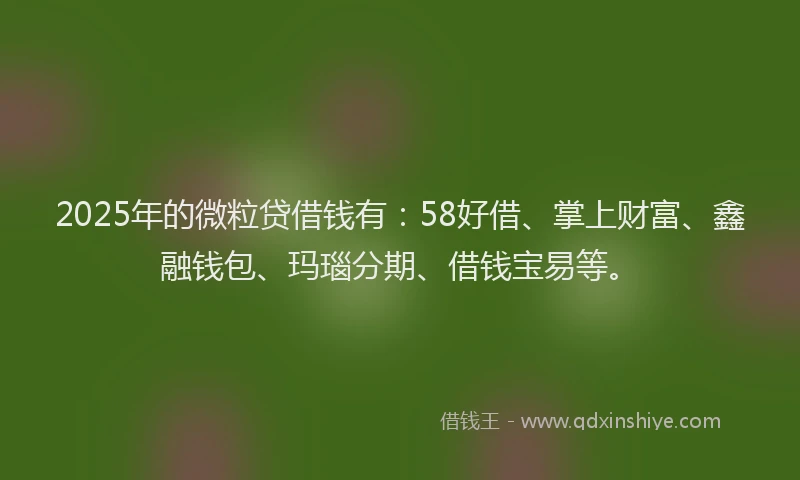 2025年的微粒贷借钱有：58好借、掌上财富、鑫融钱包、玛瑙分期、借钱宝易等。
