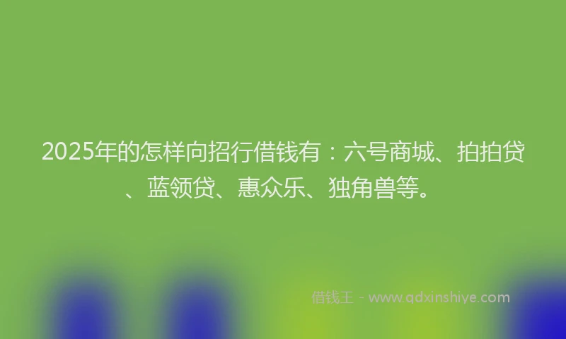 2025年的怎样向招行借钱有：六号商城、拍拍贷、蓝领贷、惠众乐、独角兽等。
