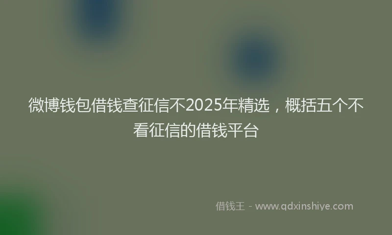 微博钱包借钱查征信不2025年精选，概括五个不看征信的借钱平台
