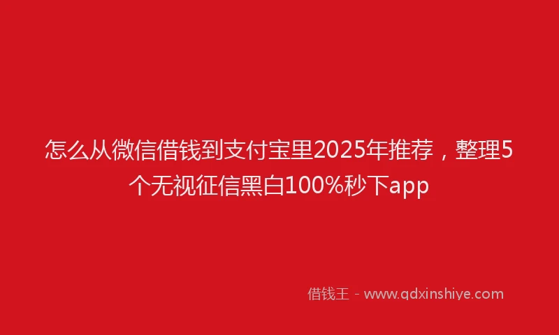 怎么从微信借钱到支付宝里2025年推荐，整理5个无视征信黑白100%秒下app