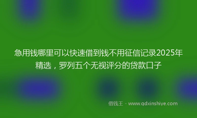 急用钱哪里可以快速借到钱不用征信记录2025年精选，罗列五个无视评分的贷款口子