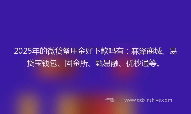 2025年的微贷备用金好下款吗有：森泽商城、易贷宝钱包、固金所、甄易融、优秒通等。