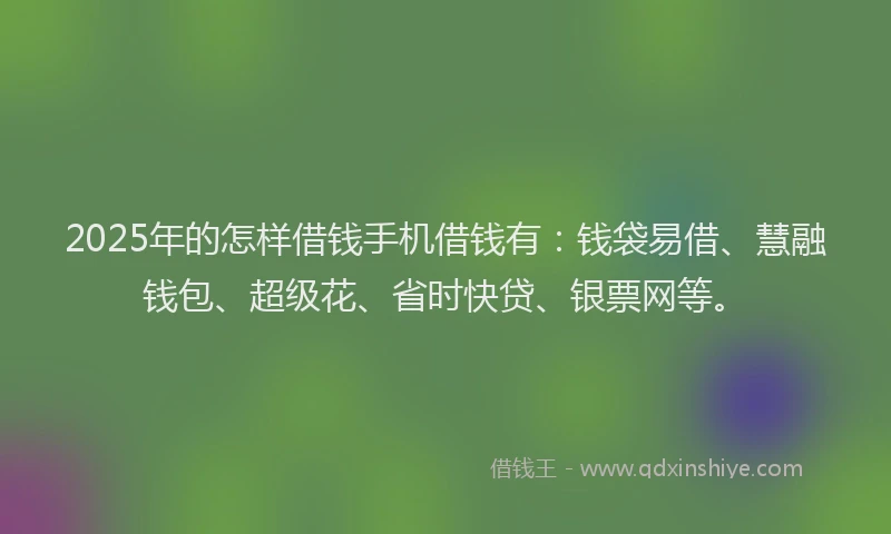 2025年的怎样借钱手机借钱有：钱袋易借、慧融钱包、超级花、省时快贷、银票网等。