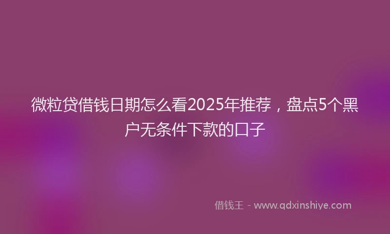 微粒贷借钱日期怎么看2025年推荐，盘点5个黑户无条件下款的口子