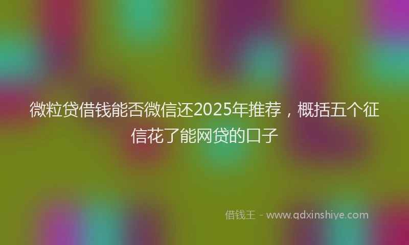 微粒贷借钱能否微信还2025年推荐，概括五个征信花了能网贷的口子