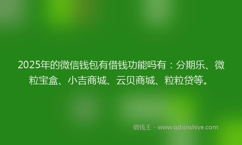 2025年的微信钱包有借钱功能吗有：分期乐、微粒宝盒、小吉商城、云贝商城、粒粒贷等。