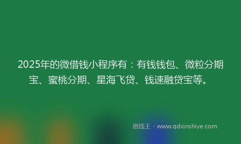 2025年的微借钱小程序有：有钱钱包、微粒分期宝、蜜桃分期、星海飞贷、钱速融贷宝等。