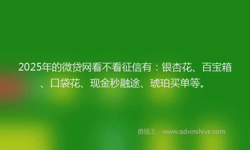 2025年的微贷网看不看征信有：银杏花、百宝箱、口袋花、现金秒融途、琥珀买单等。
