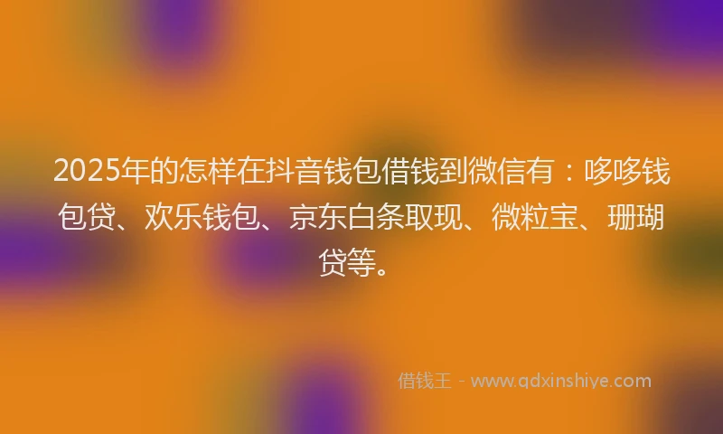 2025年的怎样在抖音钱包借钱到微信有：哆哆钱包贷、欢乐钱包、京东白条取现、微粒宝、珊瑚贷等。