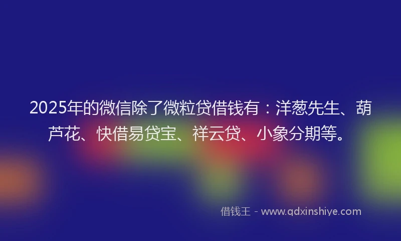 2025年的微信除了微粒贷借钱有：洋葱先生、葫芦花、快借易贷宝、祥云贷、小象分期等。
