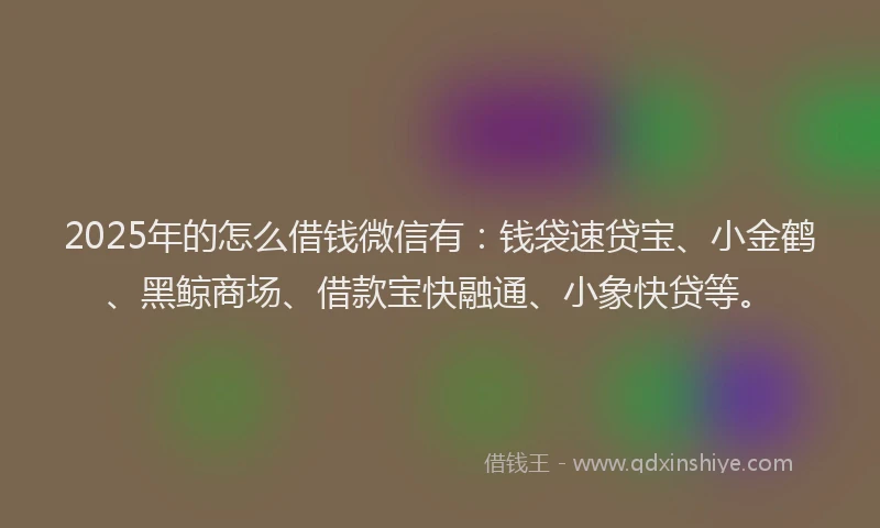2025年的怎么借钱微信有：钱袋速贷宝、小金鹤、黑鲸商场、借款宝快融通、小象快贷等。