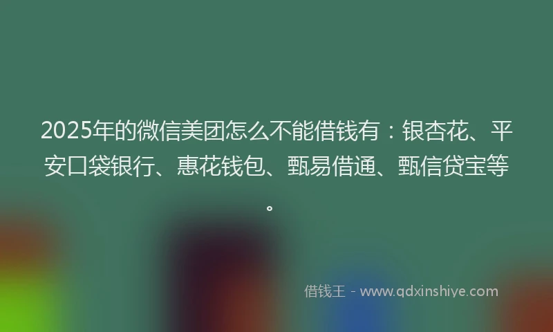 2025年的微信美团怎么不能借钱有：银杏花、平安口袋银行、惠花钱包、甄易借通、甄信贷宝等。