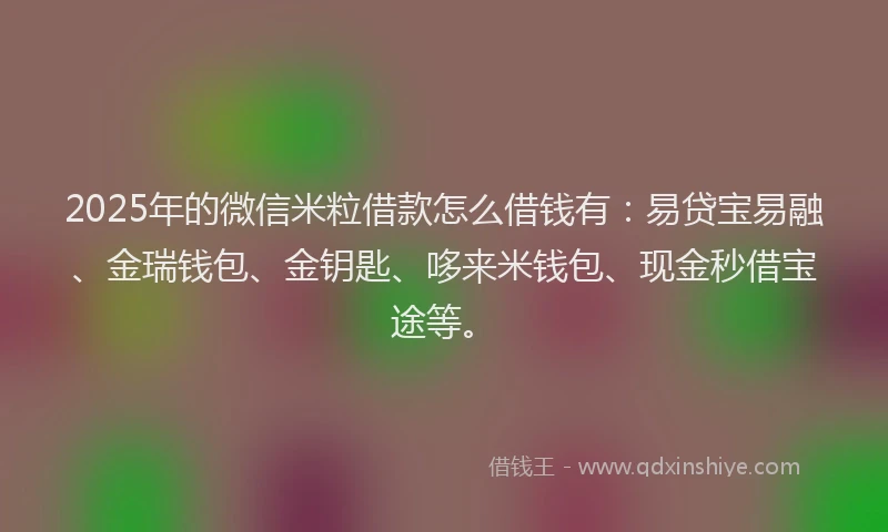 2025年的微信米粒借款怎么借钱有：易贷宝易融、金瑞钱包、金钥匙、哆来米钱包、现金秒借宝途等。