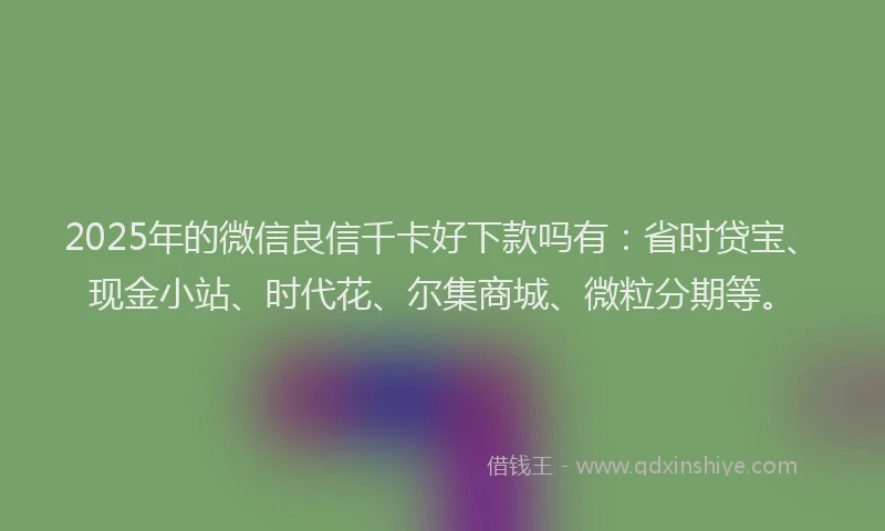 2025年的微信良信千卡好下款吗有：省时贷宝、现金小站、时代花、尔集商城、微粒分期等。