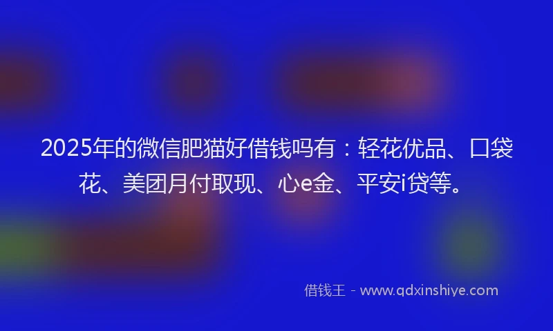 2025年的微信肥猫好借钱吗有：轻花优品、口袋花、美团月付取现、心e金、平安i贷等。