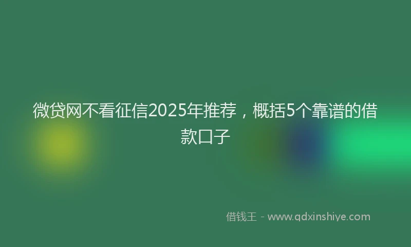 微贷网不看征信2025年推荐，概括5个靠谱的借款口子