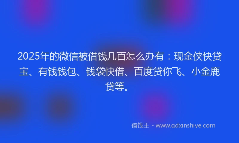 2025年的微信被借钱几百怎么办有：现金侠快贷宝、有钱钱包、钱袋快借、百度贷你飞、小金鹿贷等。