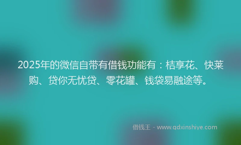 2025年的微信自带有借钱功能有：桔享花、快莱购、贷你无忧贷、零花罐、钱袋易融途等。