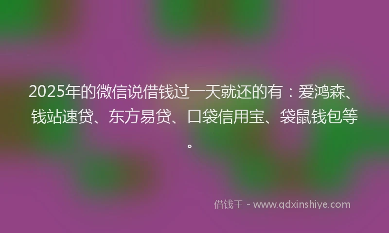 2025年的微信说借钱过一天就还的有：爱鸿森、钱站速贷、东方易贷、口袋信用宝、袋鼠钱包等。