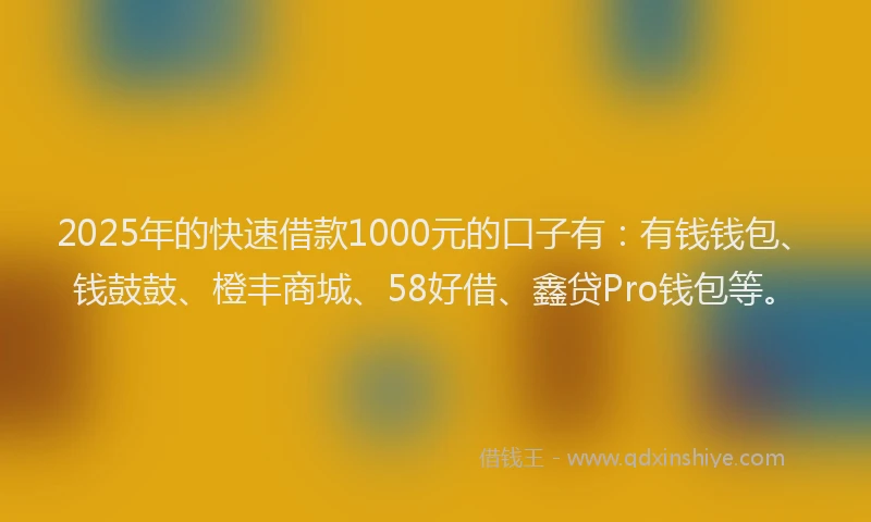 2025年的快速借款1000元的口子有：有钱钱包、钱鼓鼓、橙丰商城、58好借、鑫贷Pro钱包等。