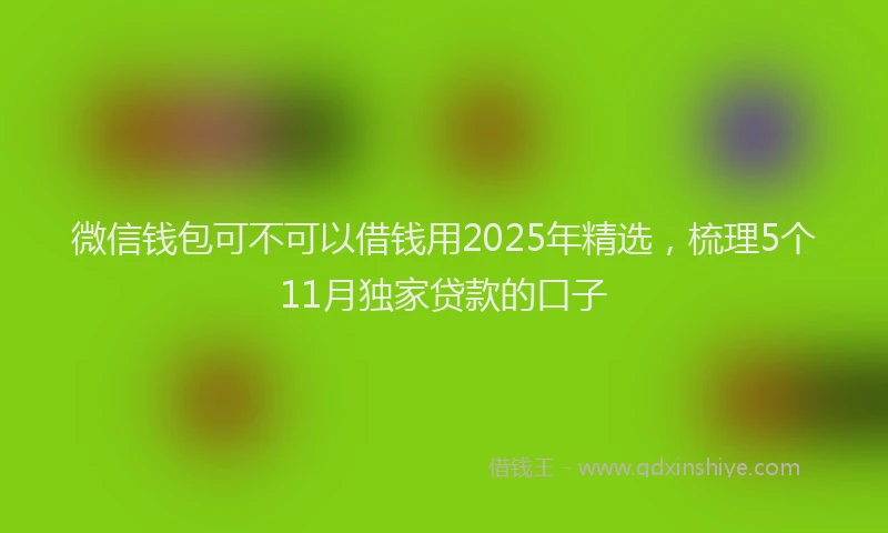 微信钱包可不可以借钱用2025年精选，梳理5个11月独家贷款的口子