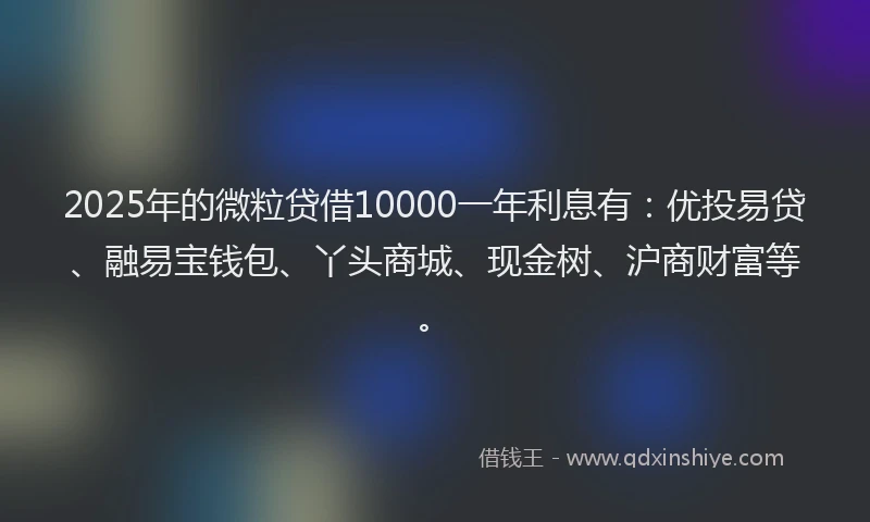 2025年的微粒贷借10000一年利息有：优投易贷、融易宝钱包、丫头商城、现金树、沪商财富等。