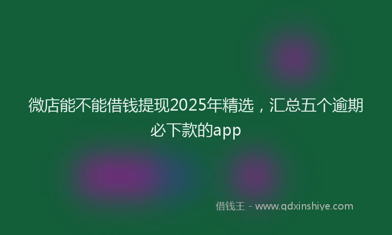 微店能不能借钱提现2025年精选，汇总五个逾期必下款的app