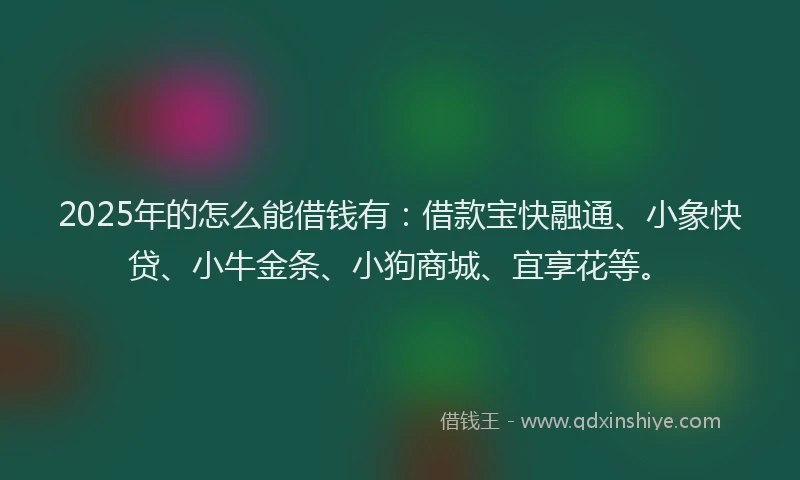 2025年的怎么能借钱有：借款宝快融通、小象快贷、小牛金条、小狗商城、宜享花等。