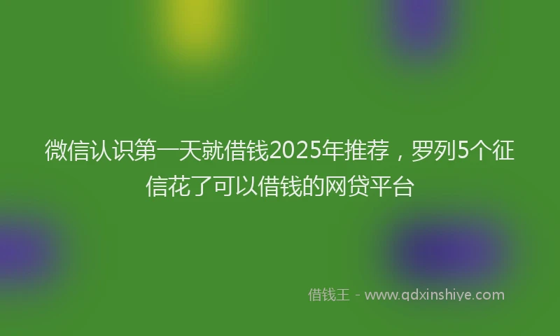 微信认识第一天就借钱2025年推荐，罗列5个征信花了可以借钱的网贷平台