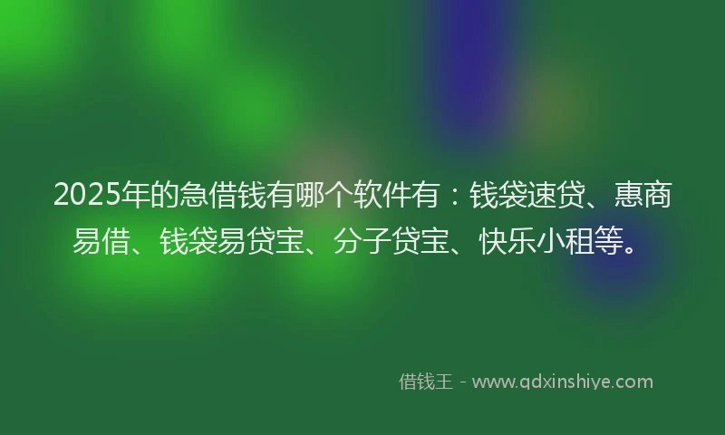 2025年的急借钱有哪个软件有：钱袋速贷、惠商易借、钱袋易贷宝、分子贷宝、快乐小租等。
