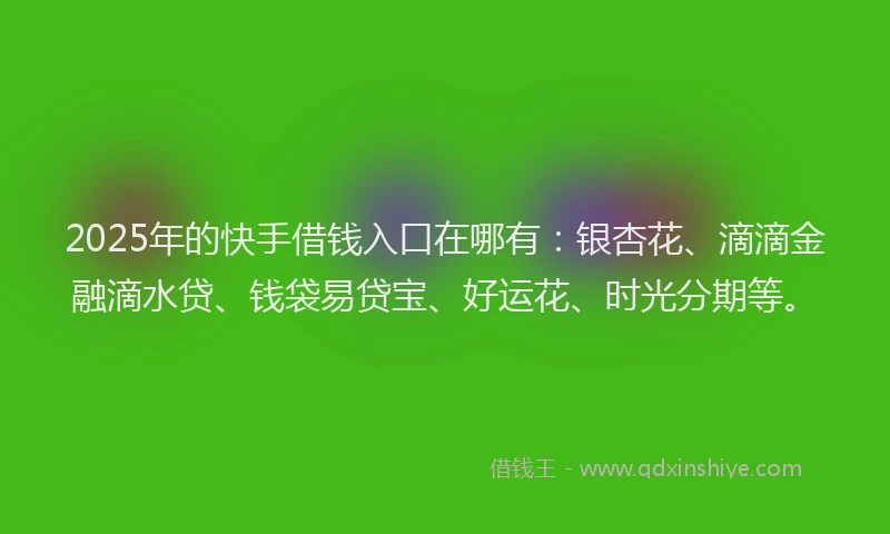 2025年的快手借钱入口在哪有：银杏花、滴滴金融滴水贷、钱袋易贷宝、好运花、时光分期等。