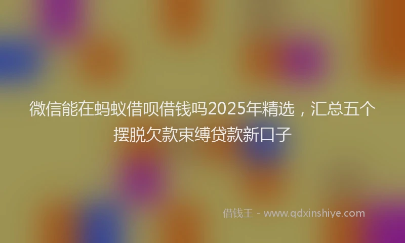 微信能在蚂蚁借呗借钱吗2025年精选，汇总五个摆脱欠款束缚贷款新口子