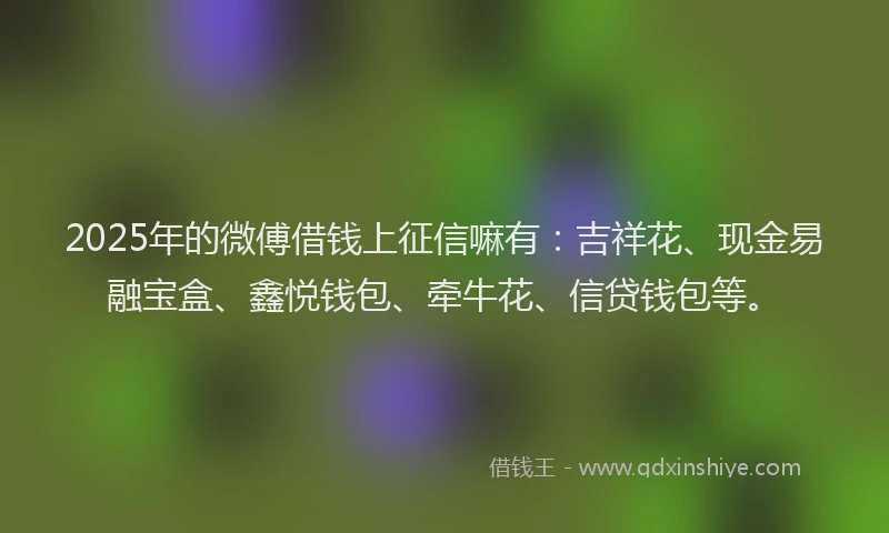 2025年的微傅借钱上征信嘛有：吉祥花、现金易融宝盒、鑫悦钱包、牵牛花、信贷钱包等。